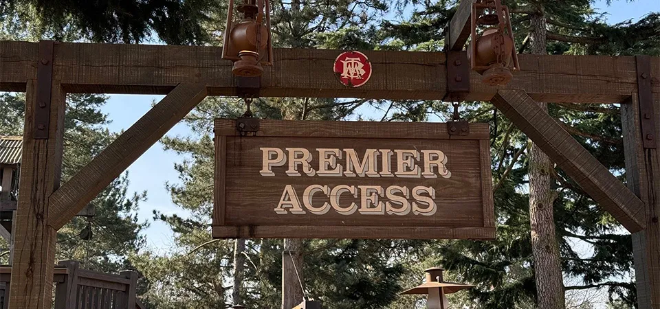 Understand How To Use the Disney Premier Access Line