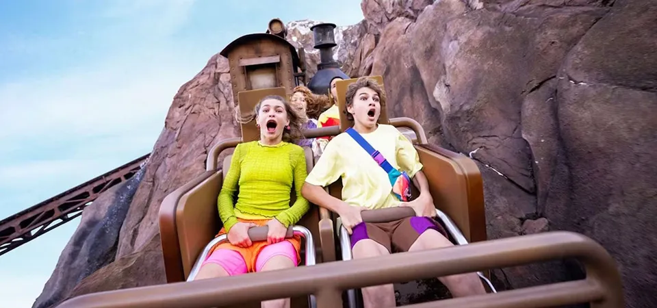 Enhance Your Disney Premier Access Experience