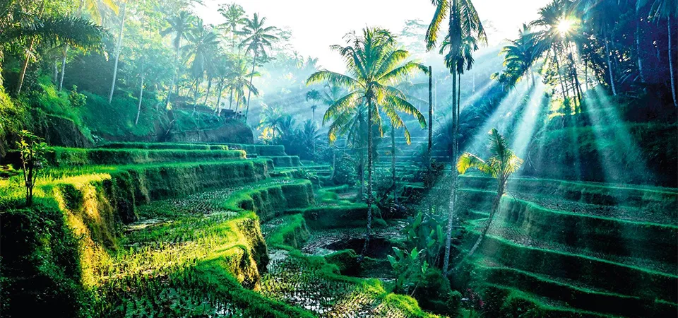 Weather of Bali in July