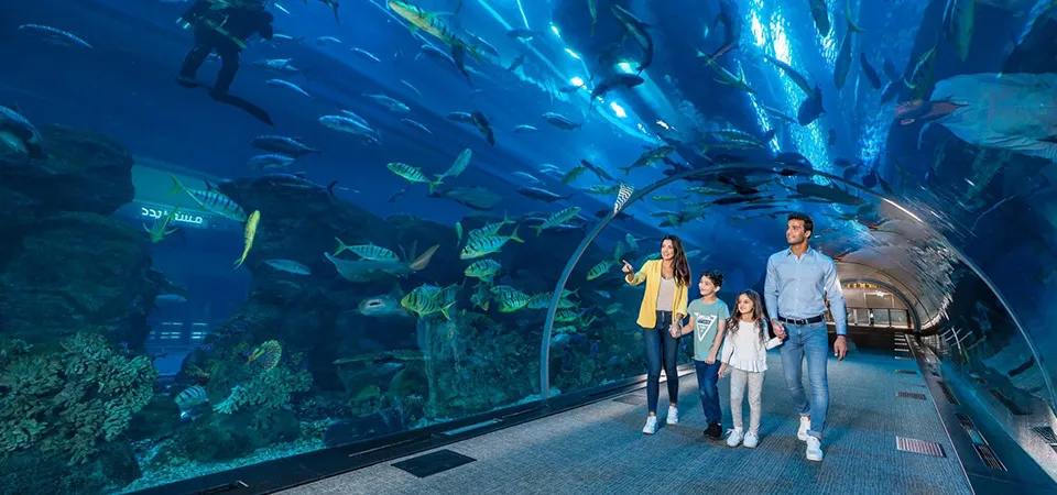 Dubai Aquarium & Underwater Zoo