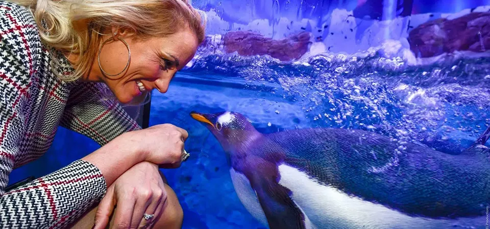 Shop and Visit Sea Life at Val d’Europe