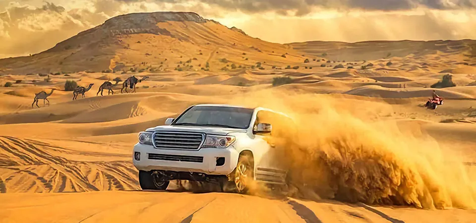 Sunrise Desert Safari Dubai