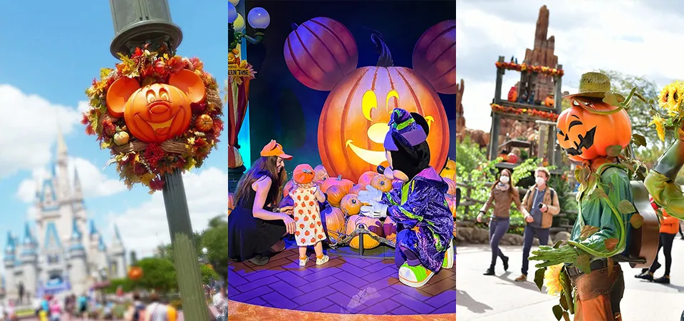 Top reasons to visit Disneyland Paris during the Halloween season