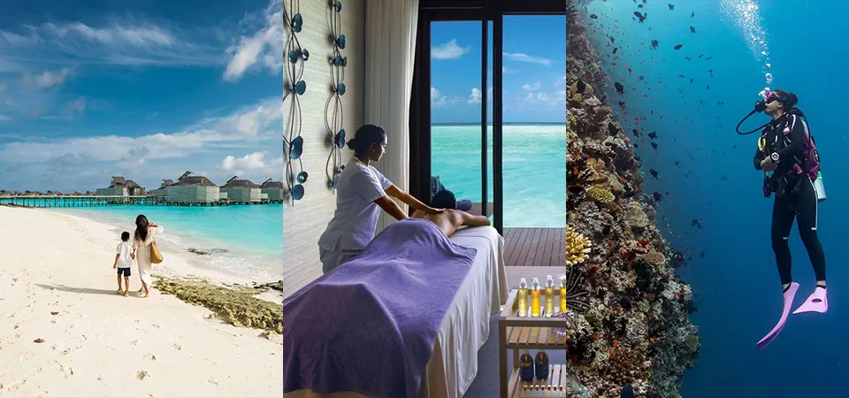 Things to Do in the Maldives in November